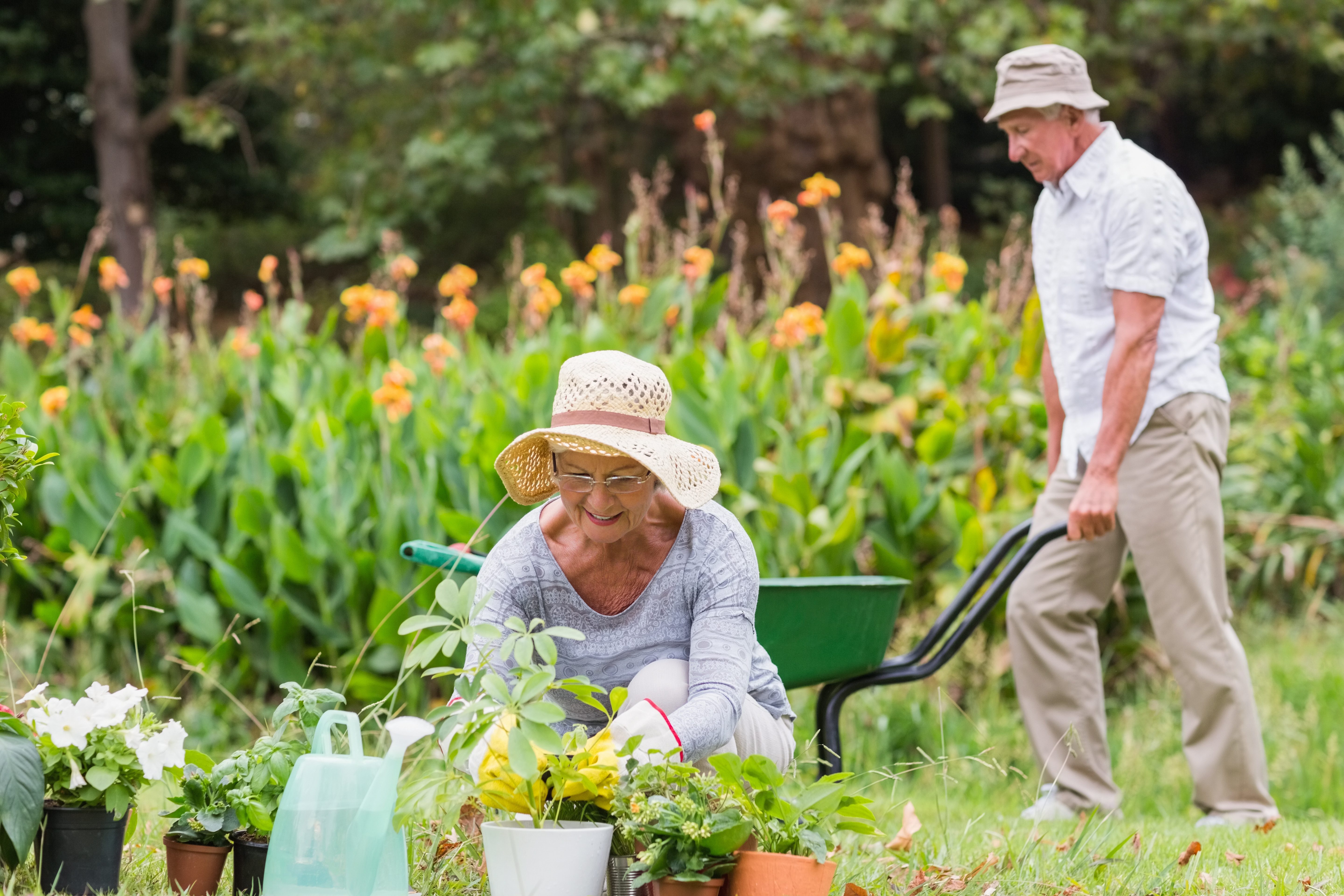 Elderly enjoying hobbies