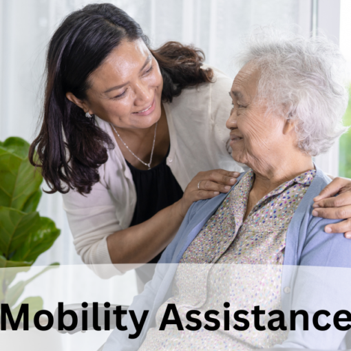Mobility Assistance